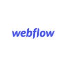 Webflow Hosting & Homepage Baukasten Erfahrungen