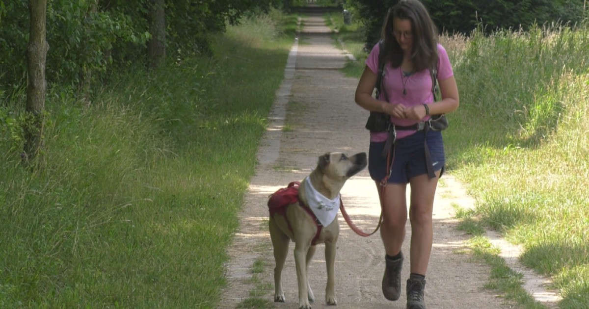 650 Kilometer Frauchen und Hund wandern für guten Zweck SACHSEN