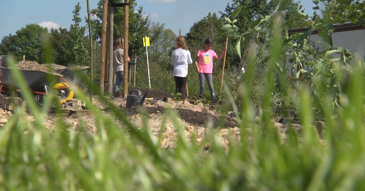  Sachsen Fernsehen Bildidee 