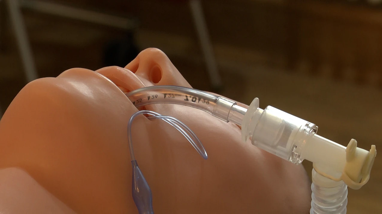 künstliche perlenkette Süßwasser Perlenkette 7.5