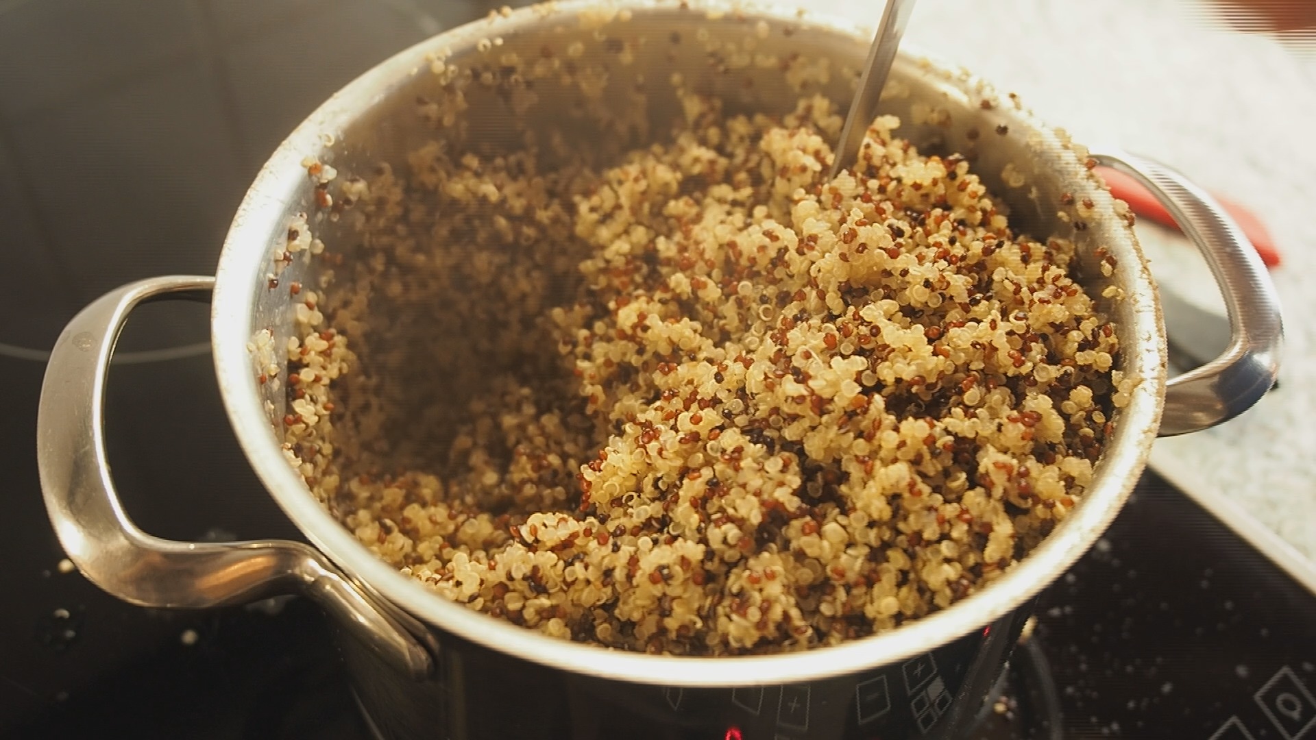 Mission New York, Dresden, New York, New York City Marathon, Marathon, Laufen, Laufszene, Rewe, Einkaufen, Gericht, Rezept, Kochen, Gesund, Felix Förster, Grit Büchner, Sophia Matthes, Anja Wirker, Sport, Dresden Fernsehen