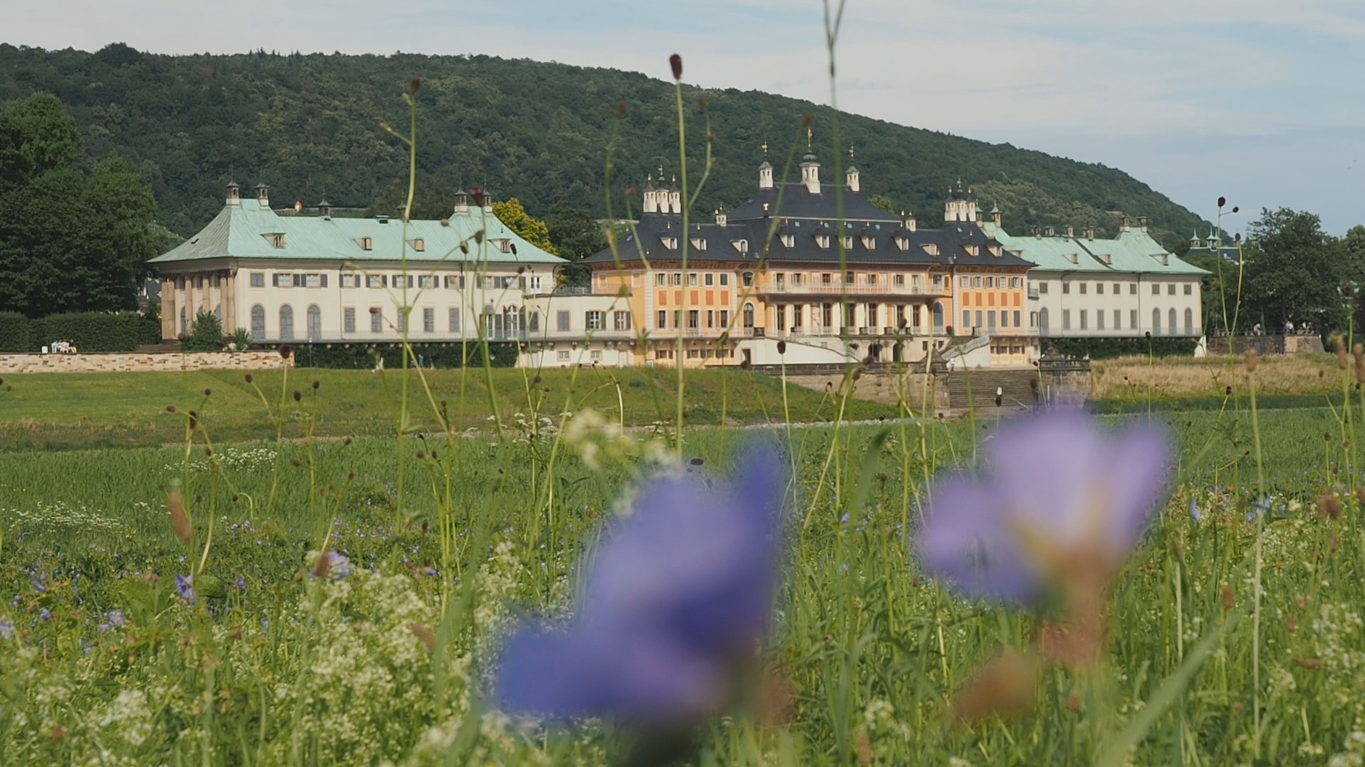 Mission New York, Dresden, New York, New York City Marathon, Marathon, Laufen, Laufszene, Rewe, Einkaufen, Gericht, Rezept, Kochen, Gesund, Felix Förster, Grit Büchner, Sophia Matthes, Anja Wirker, Sport, Dresden Fernsehen