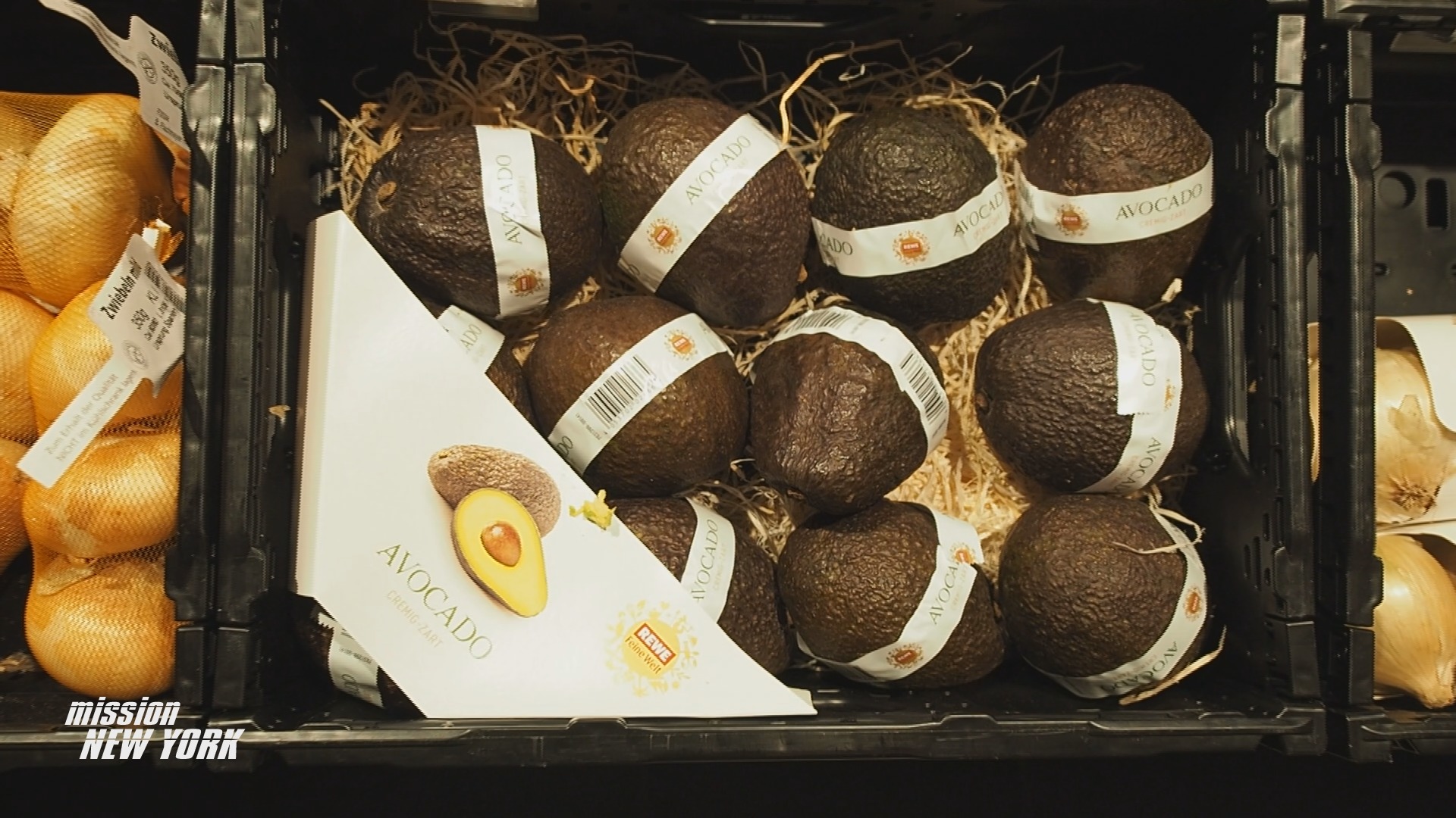 Mission New York, Dresden, New York, New York City Marathon, Marathon, Laufen, Laufszene, Rewe, Einkaufen, Gericht, Rezept, Kochen, Gesund, Robert Stock, Grit Büchner, Sophia Matthes, Rewe Center Seidnitz, Rocco Haase, Sport, Dresden Fernsehen