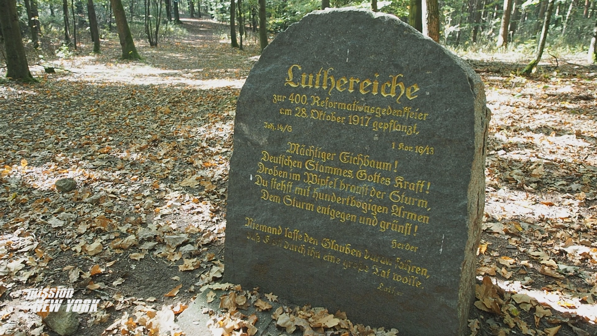 Mission New York, New York, New York City Marathon, Marathon, Laufszene, Laufen, Jogen, Dresden, rewe, Rewe Challenge, Challenge, Laufstrecke, Laufanfänger, Irmtraut Windisch, Sophia Matthes, Gesine Hiekel, Essen, Ernährung, Picknick, Ausflug, Sachsen