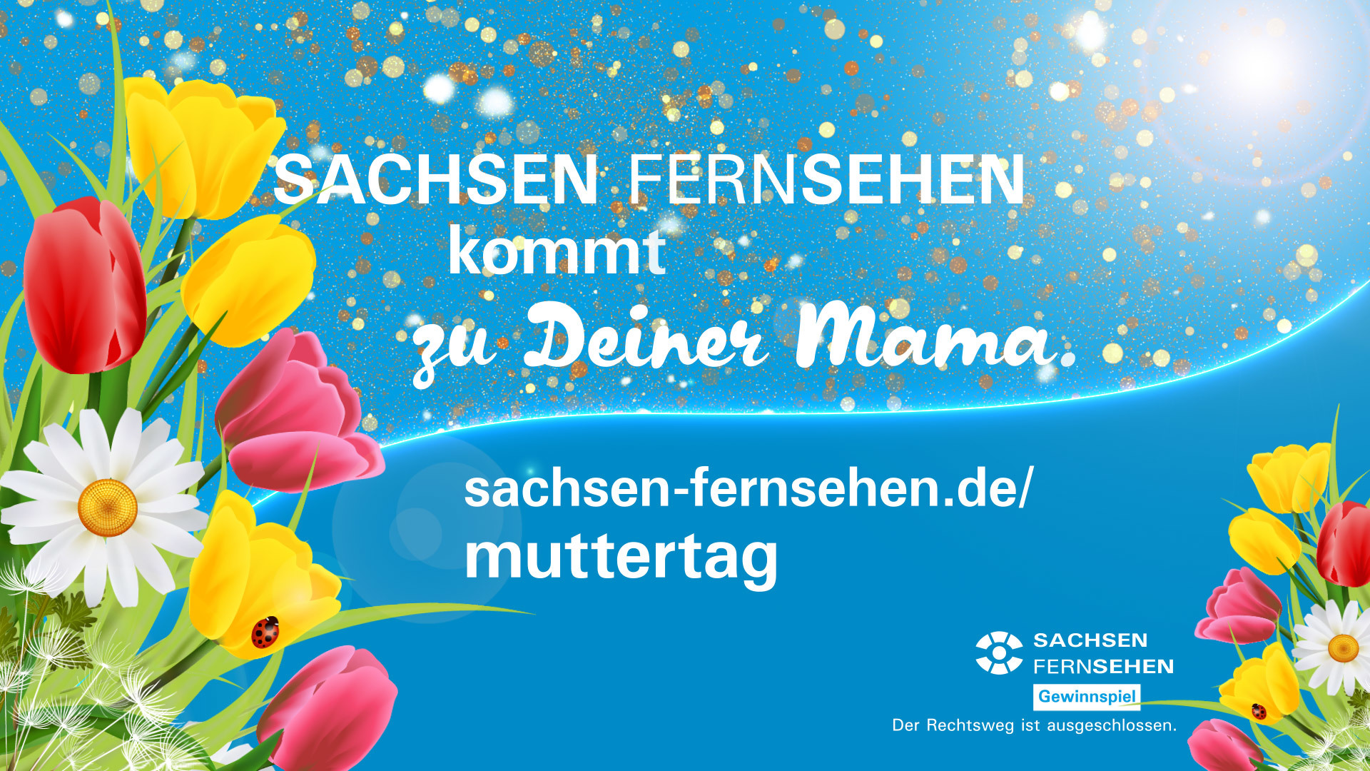 Muttertags-Aktion bei SACHSEN FERNSEHEN www.sachsen-fernsehen.de/muttertag