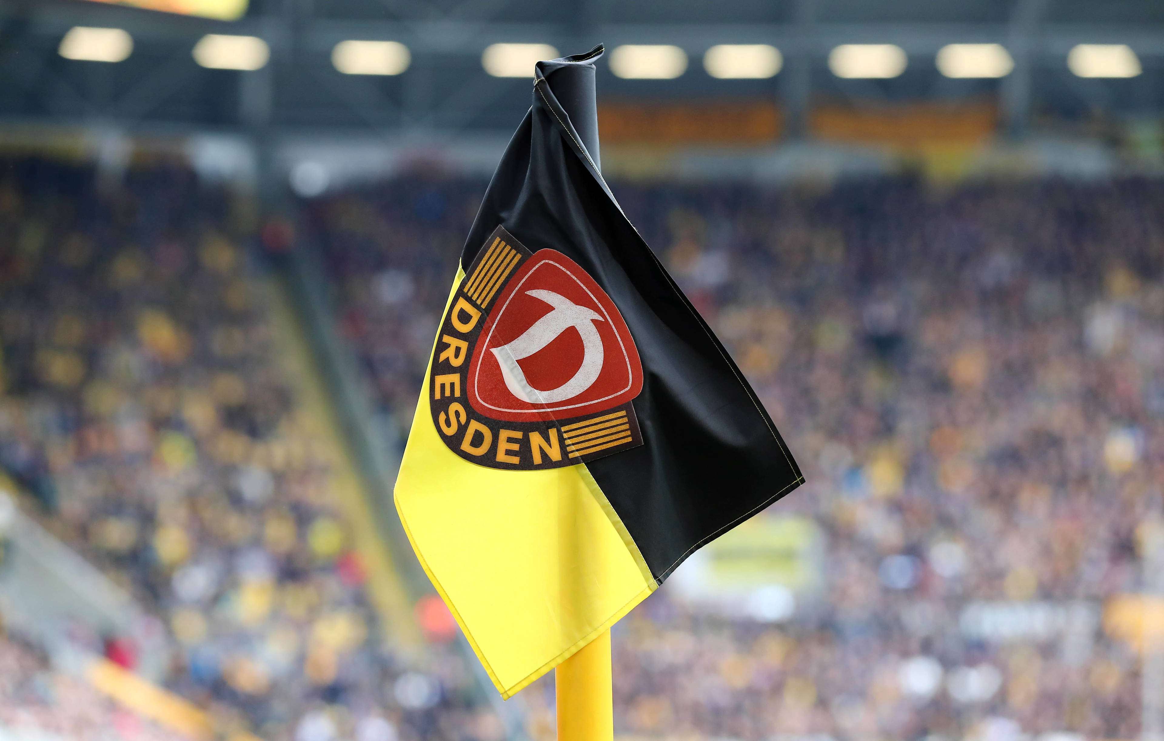 Dynamo Dresden verliert Geschäftsführer Wehlend