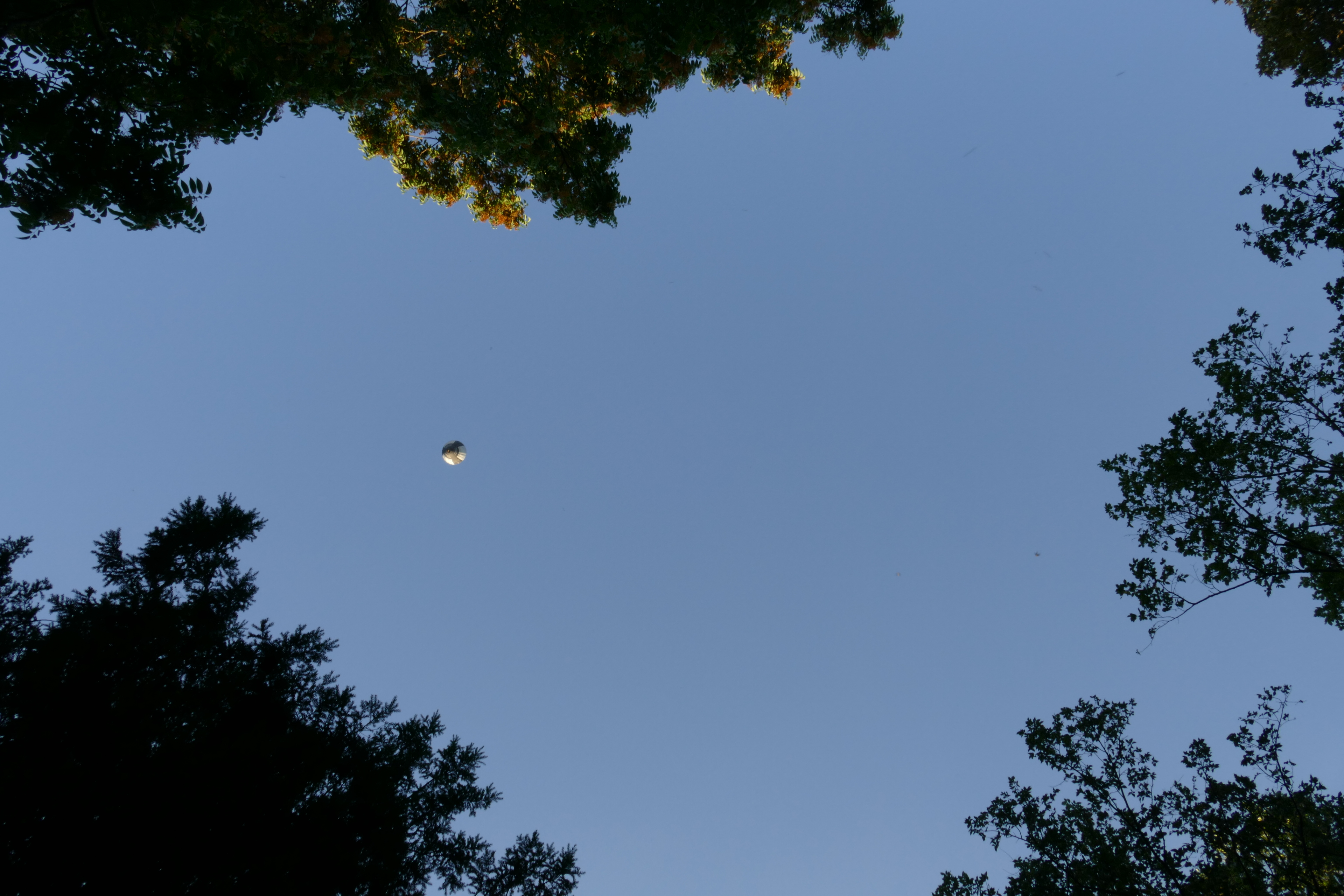 Himmel, Heißluftballon, Sommer