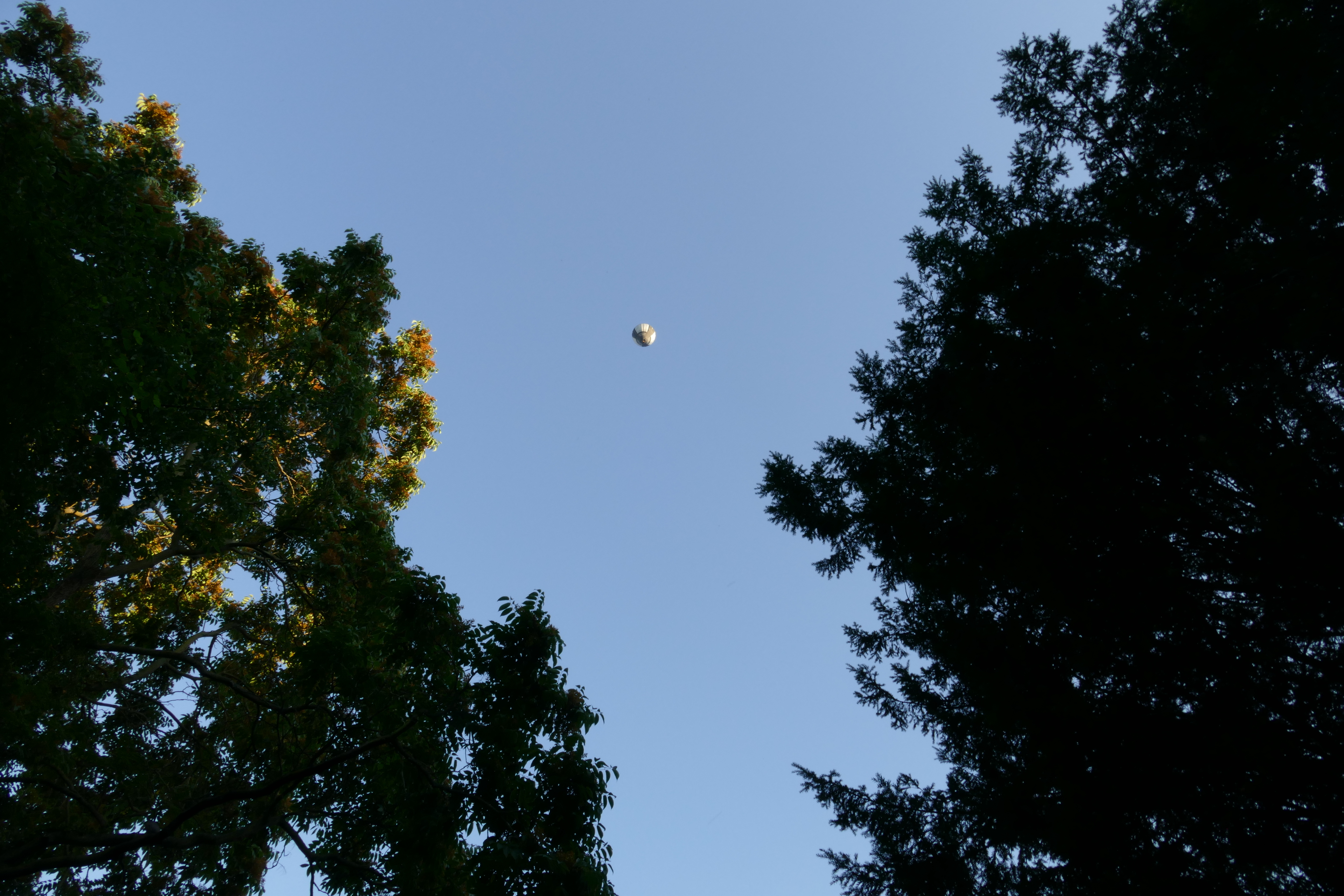 Himmel, Heißluftballon, Sommer