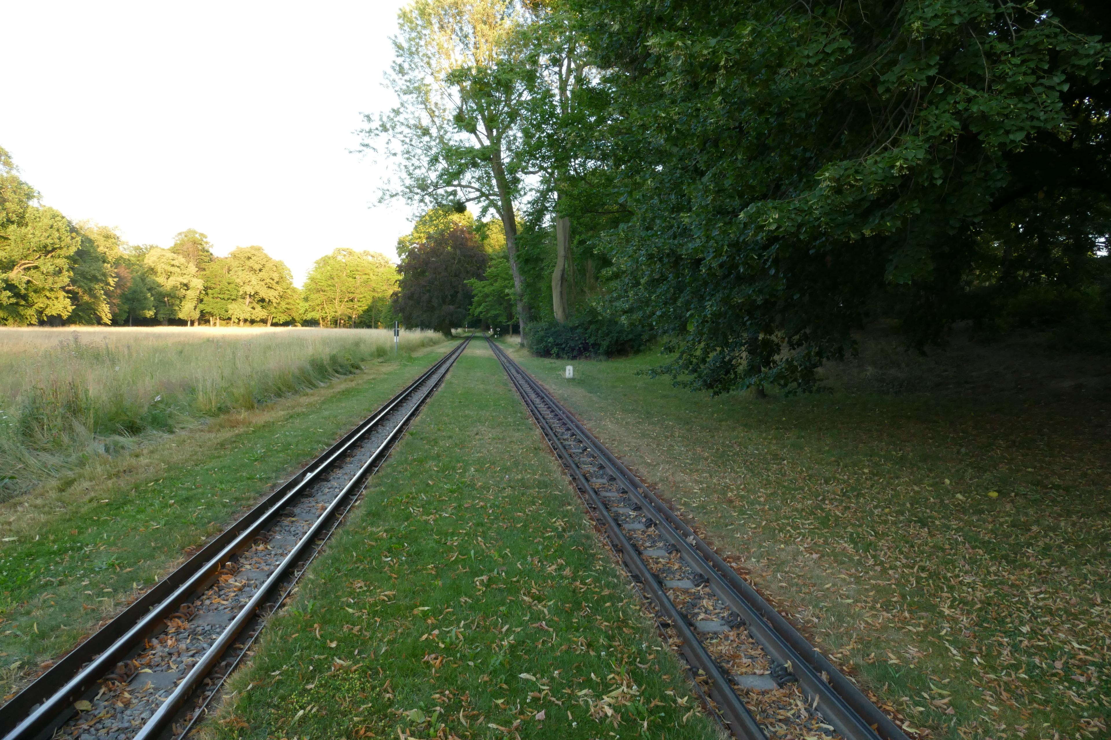 Ermittlungen bei Dresdner Parkeisenbahn