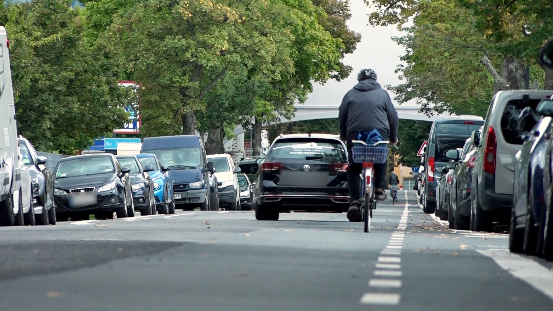 Radfahren wird in Dresden immer beliebter