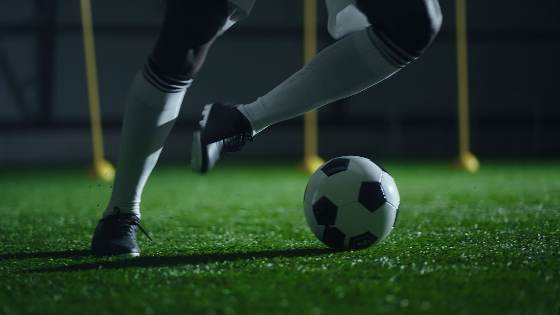 Digitalisierung auf dem Rasen: Wie sächsische Sportvereine in die Zukunft investieren