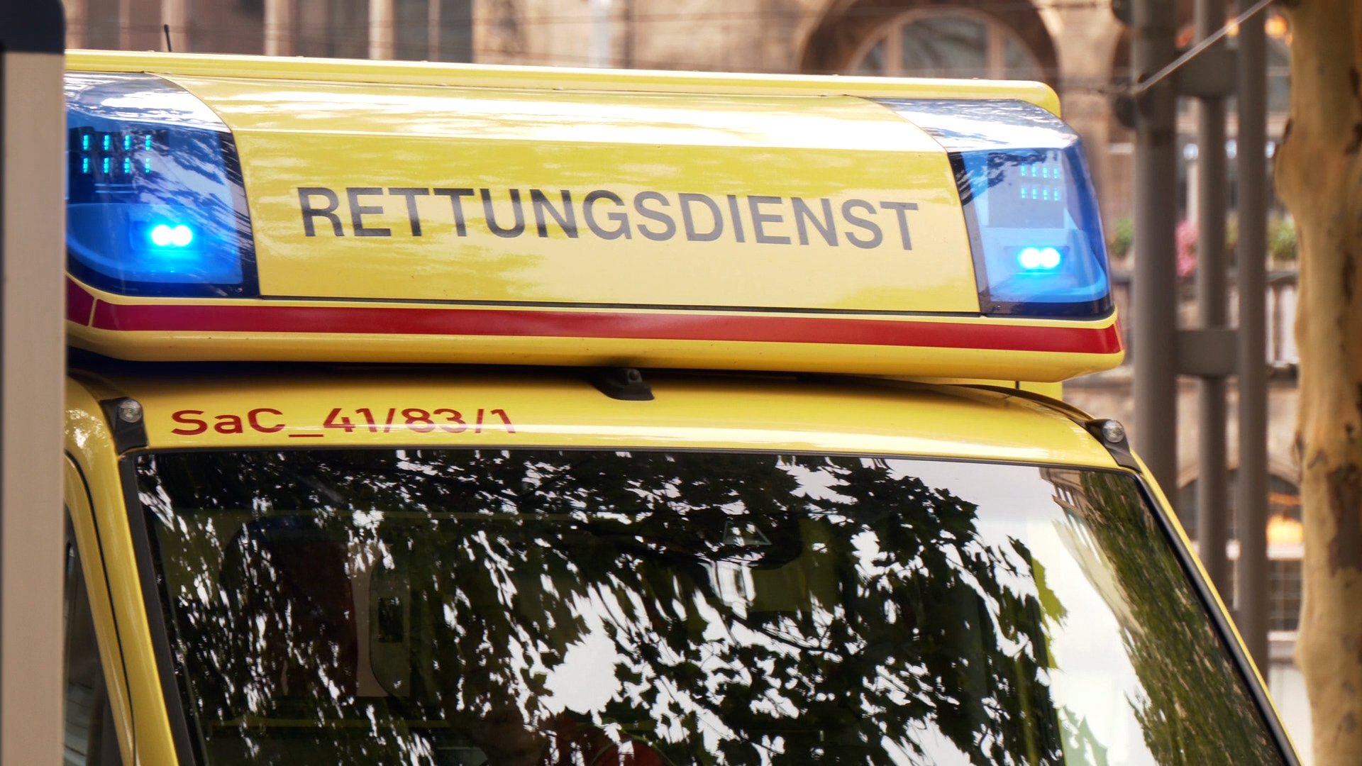 Dresdens Retter am Wochenende im Hitzestress
