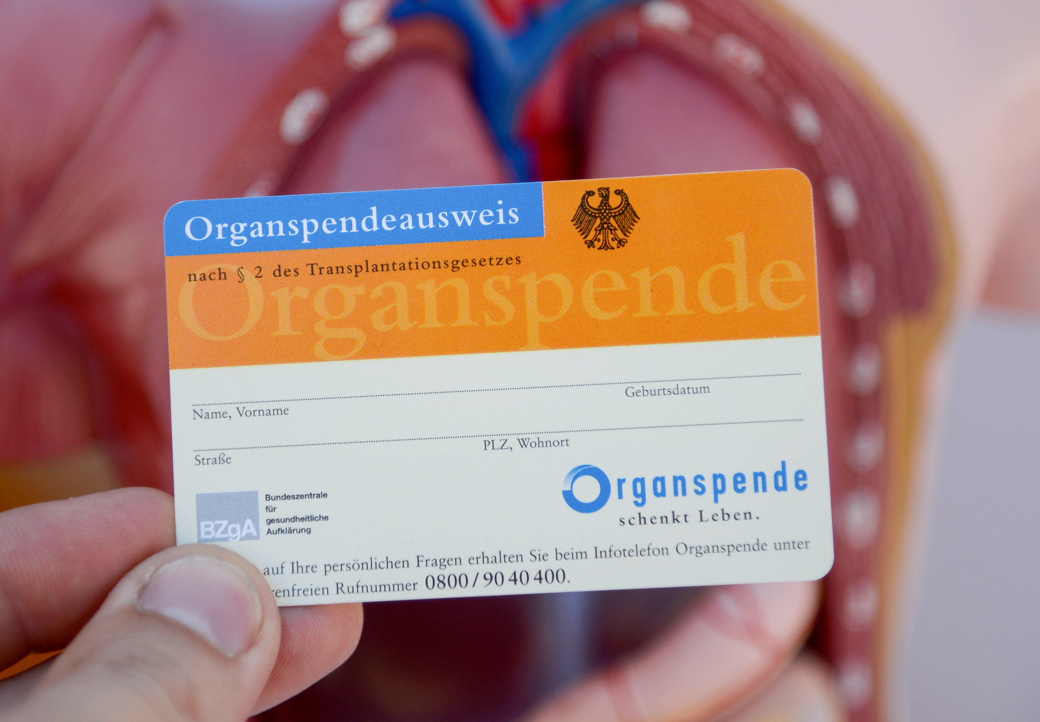 Sachsen bei Organspender-Quote bundesweit auf Platz zwei