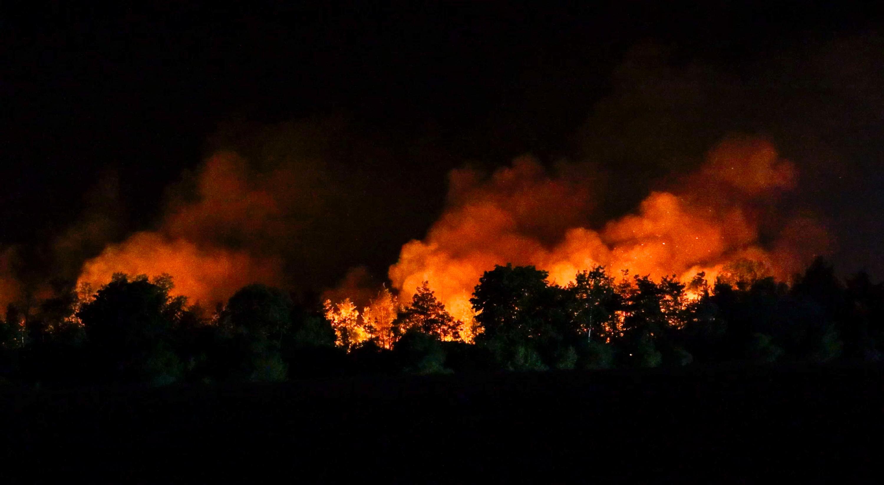 Waldbrandgefahr in Sachsen steigt wieder