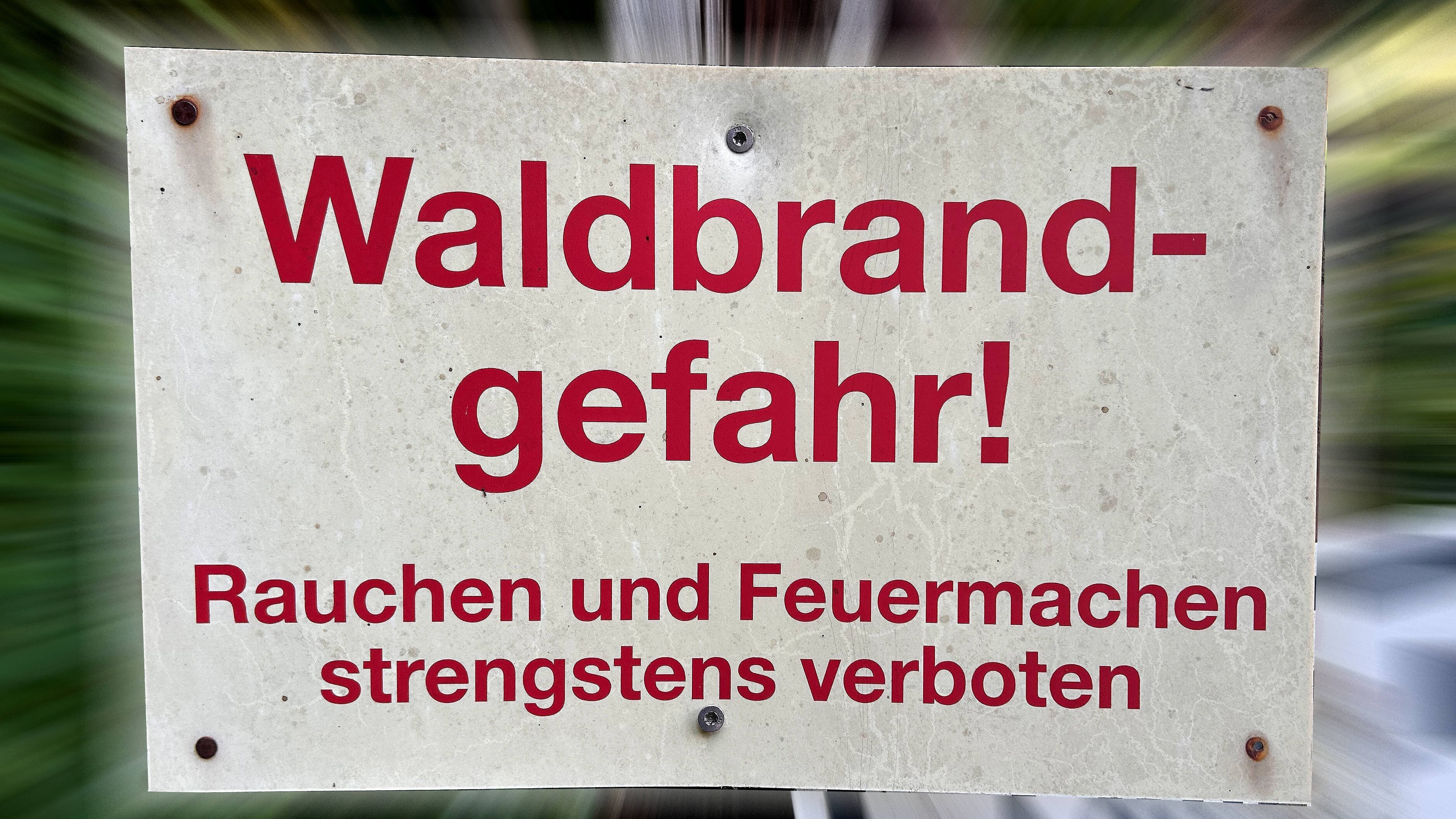 Waldbrandgefahr in Sachsen steigt deutlich