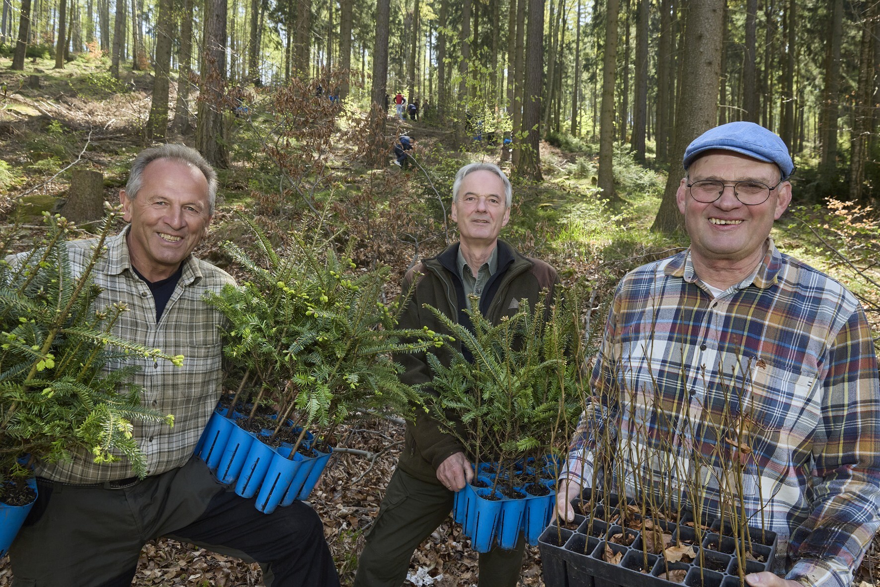 4.000 neue Bäume für Wald bei Oelsen