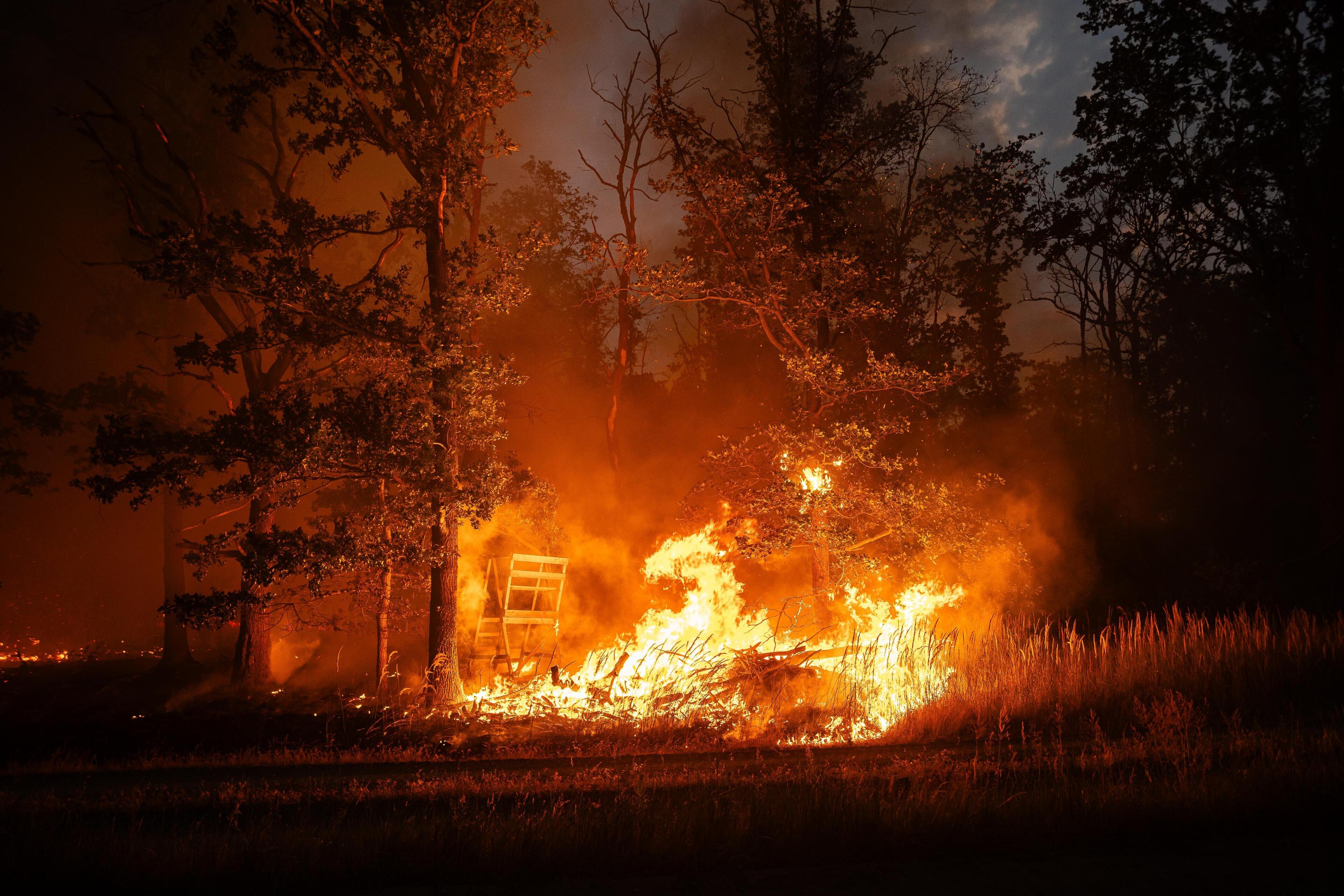 Waldbrandfläche 2025 stark gestiegen