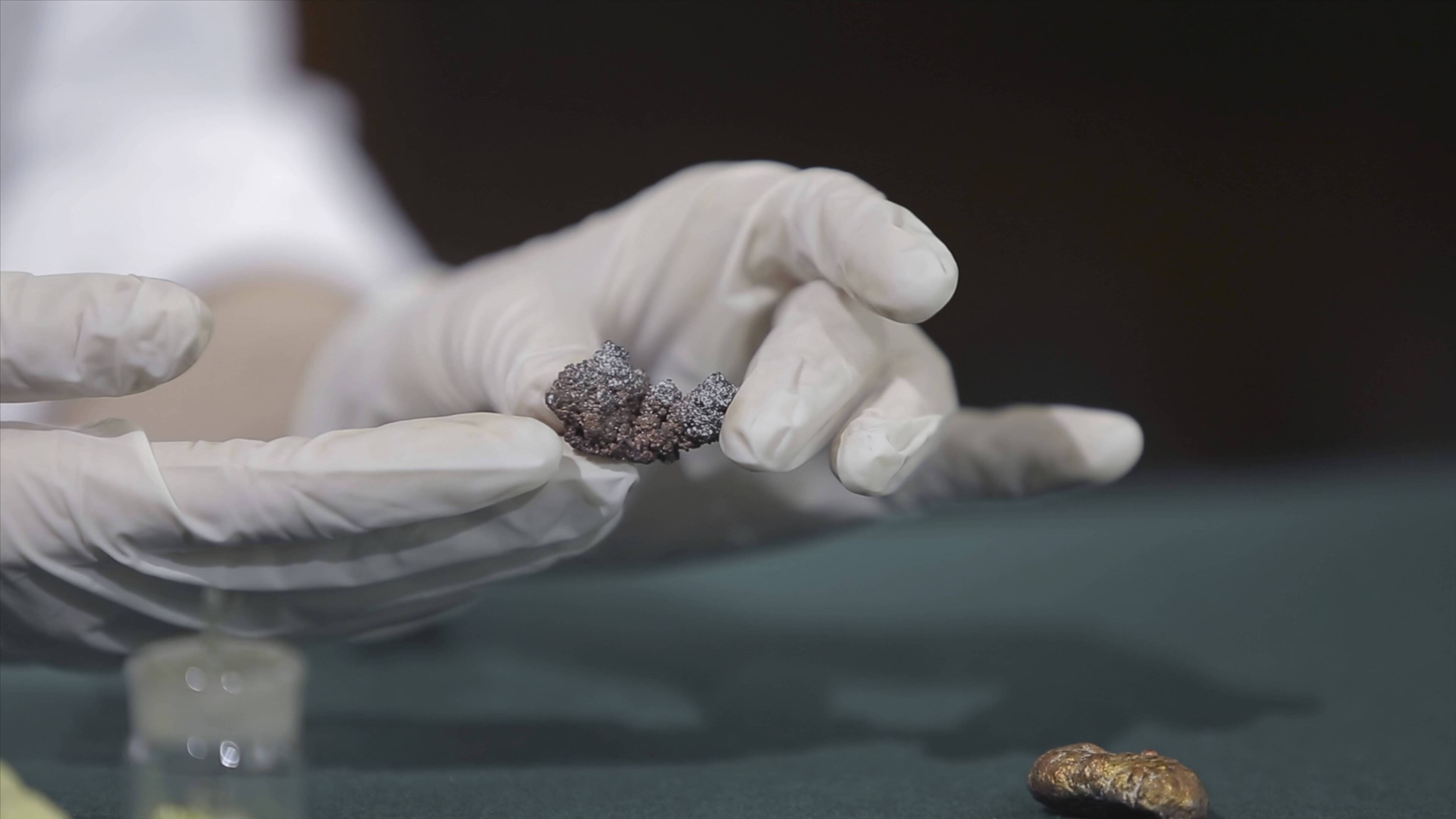 Leipzig: Archäologen erforschen NS-Zwangsarbeiterlager