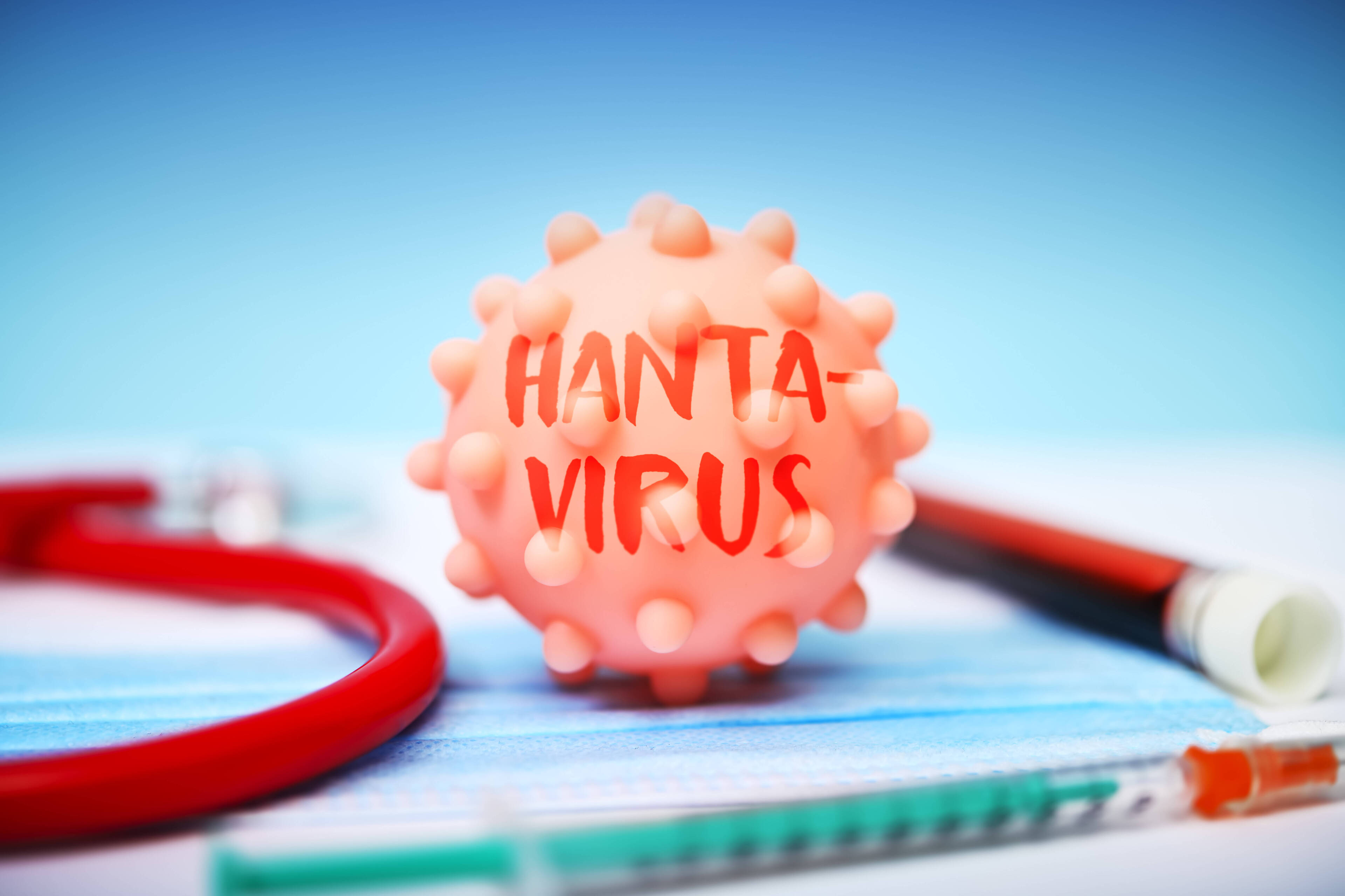 Hantavirus-Fall betrifft auch Sachsen