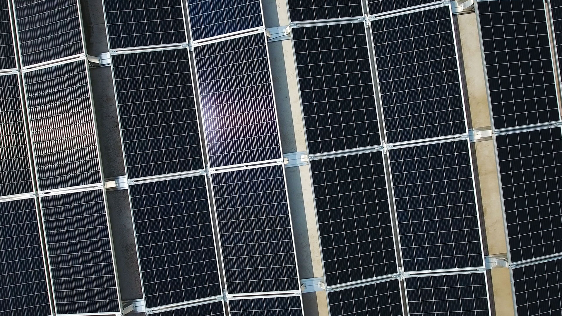 Welchen Stellenwert haben erneuerbare Energie im zukünftigen Deutschland?
