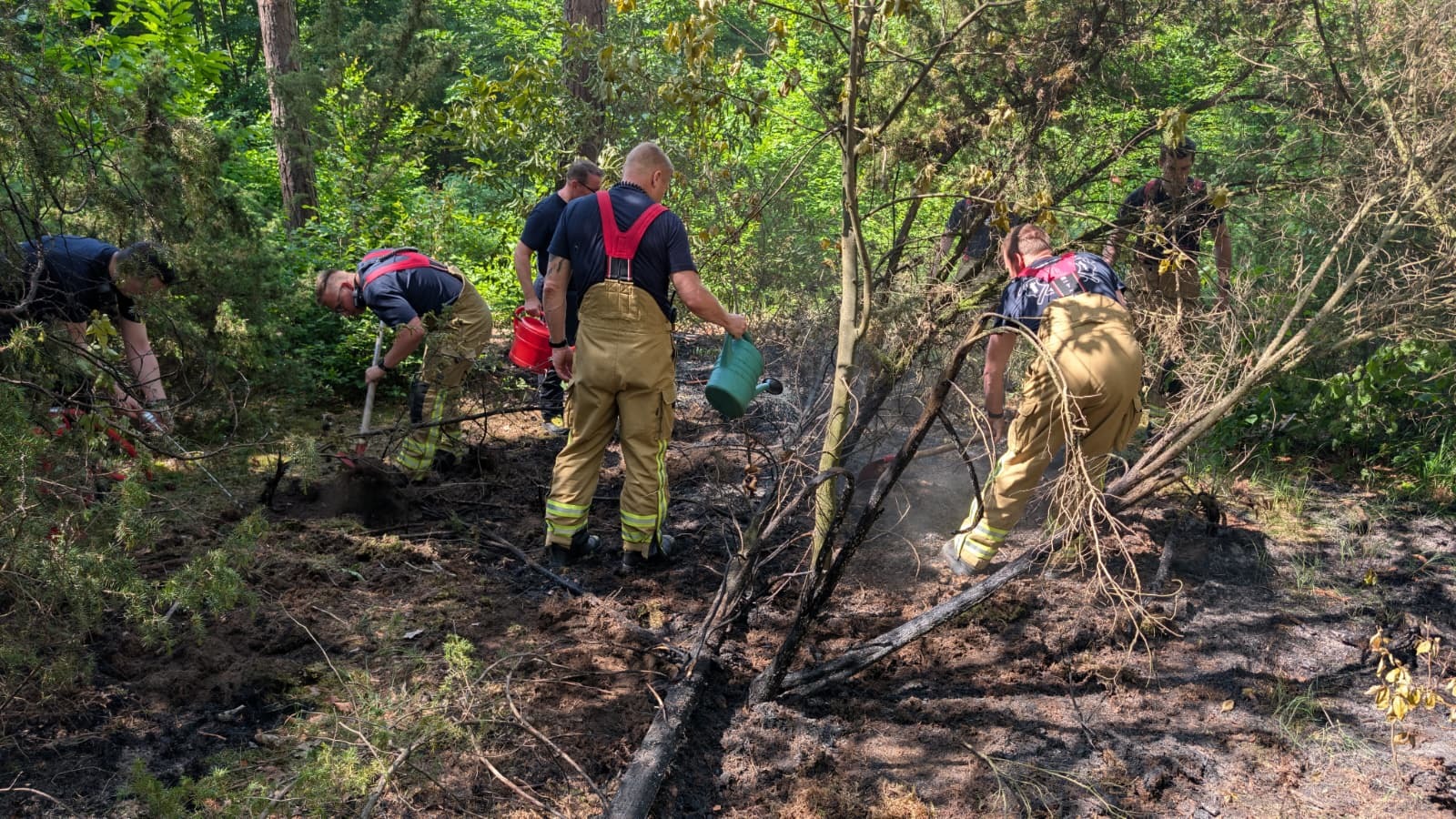 Waldbrand in der Dresdner Heide