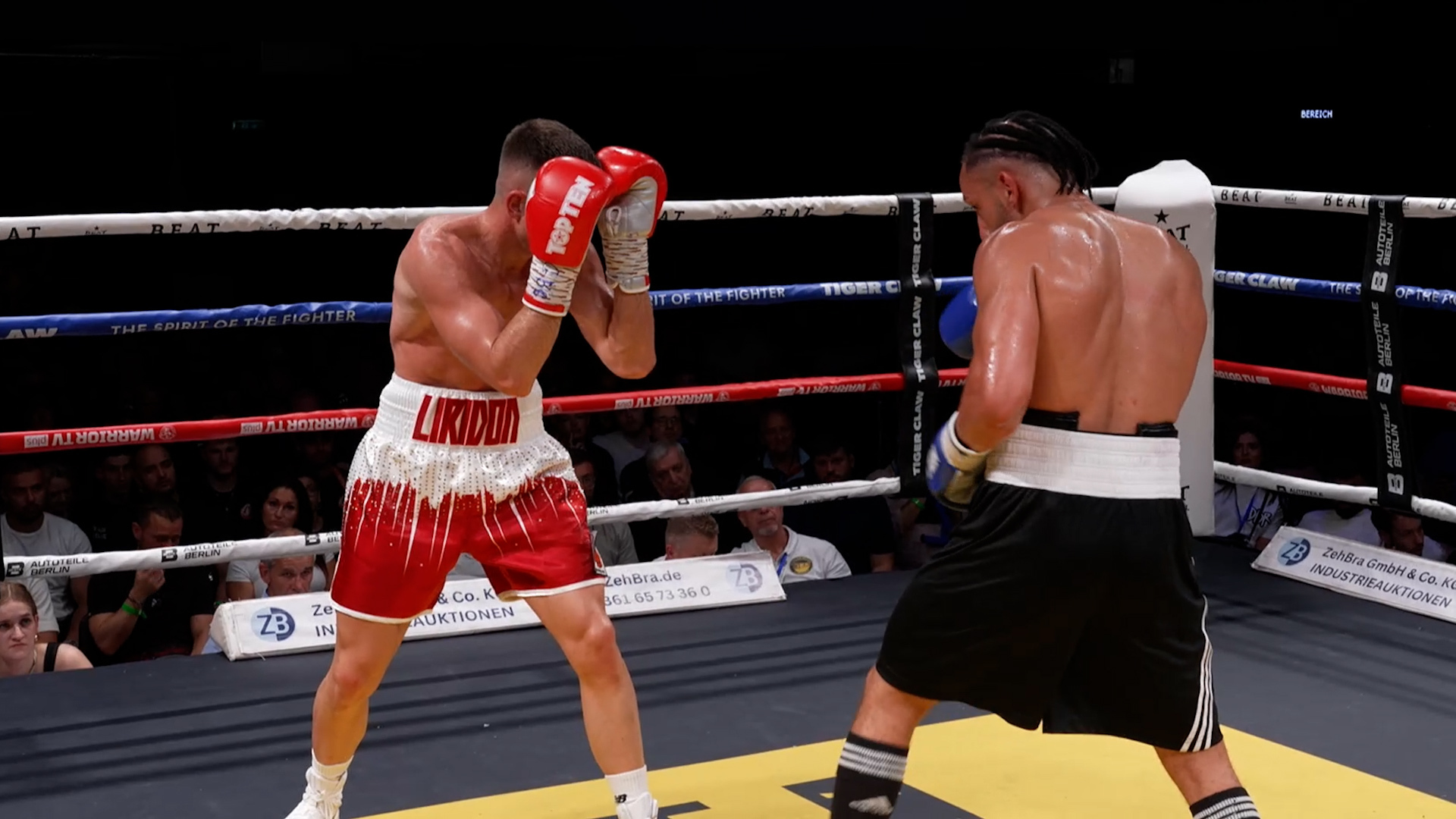 Spannende Titelfights und packende Kämpfe
